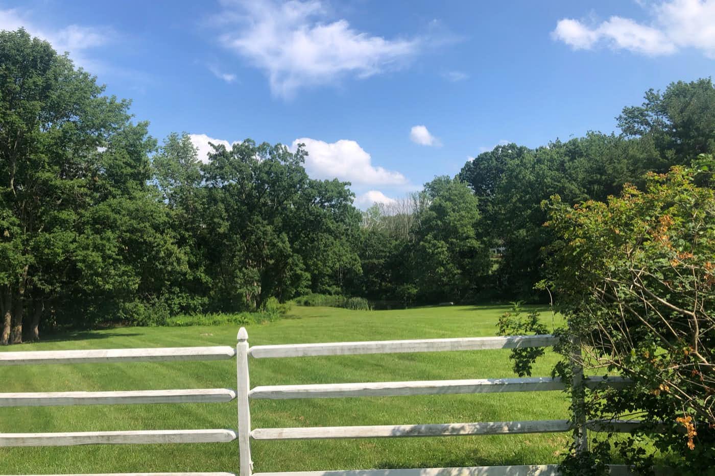 Listing photo-5