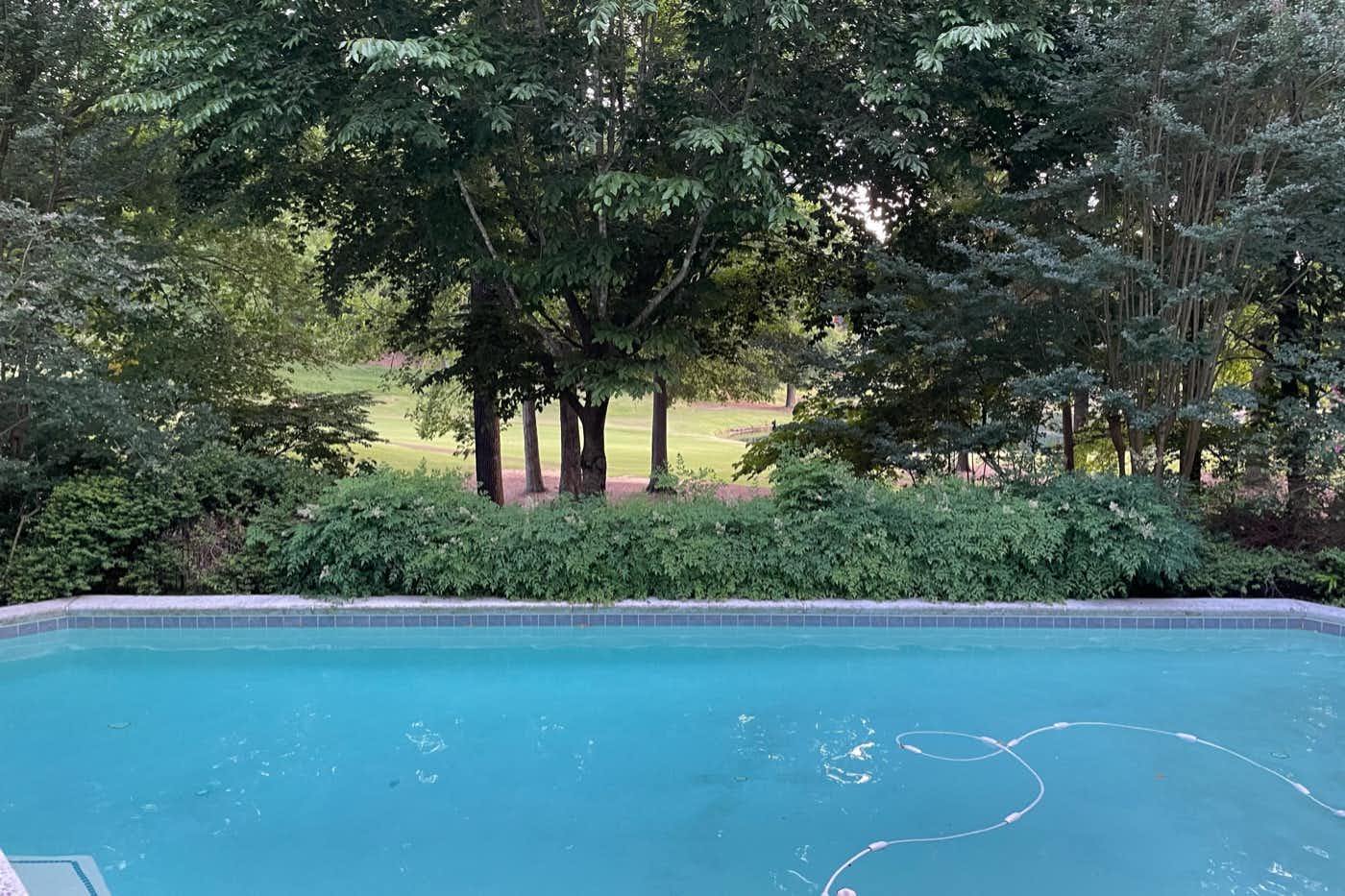 Listing photo-3