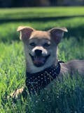 user profile photo