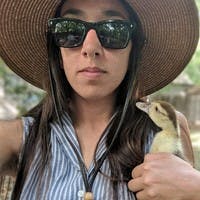 user profile photo