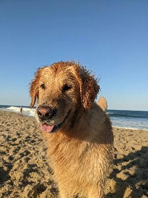 user profile photo