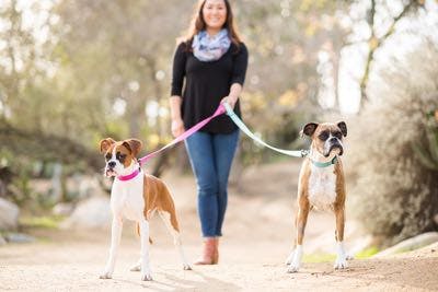 Review from Jennifer