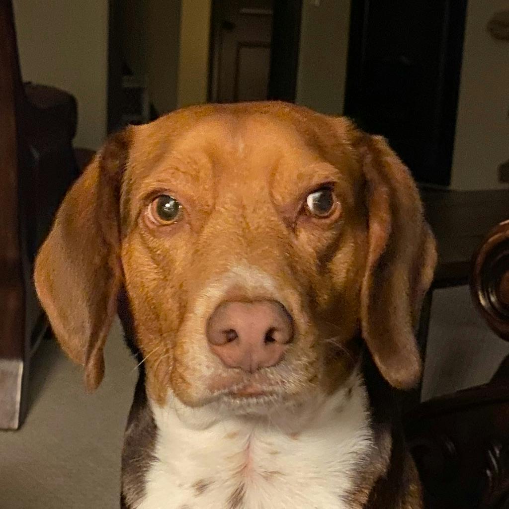 user profile photo