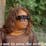 user profile photo