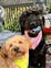 user profile photo