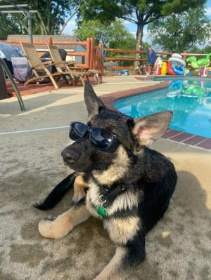 user profile photo