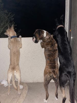 Review from Stephanie