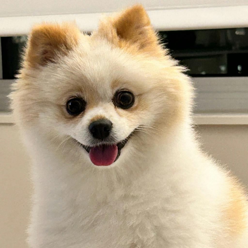 user profile photo