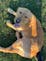 user profile photo