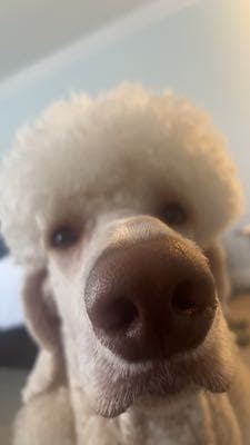 user profile photo