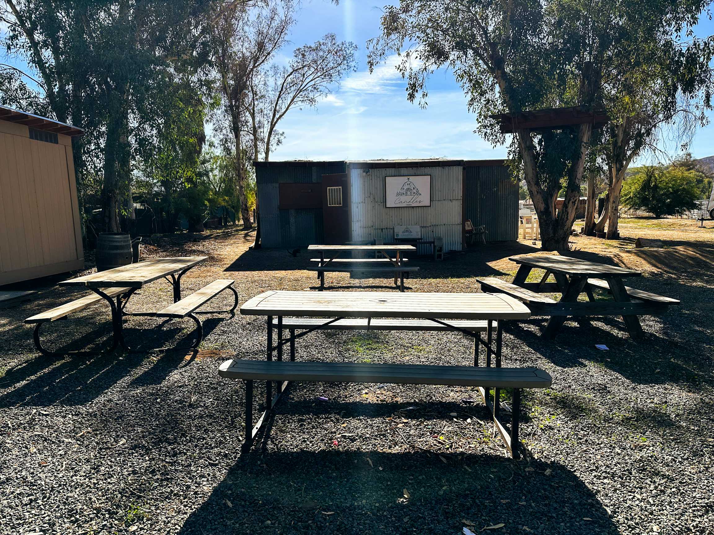 Listing photo-5