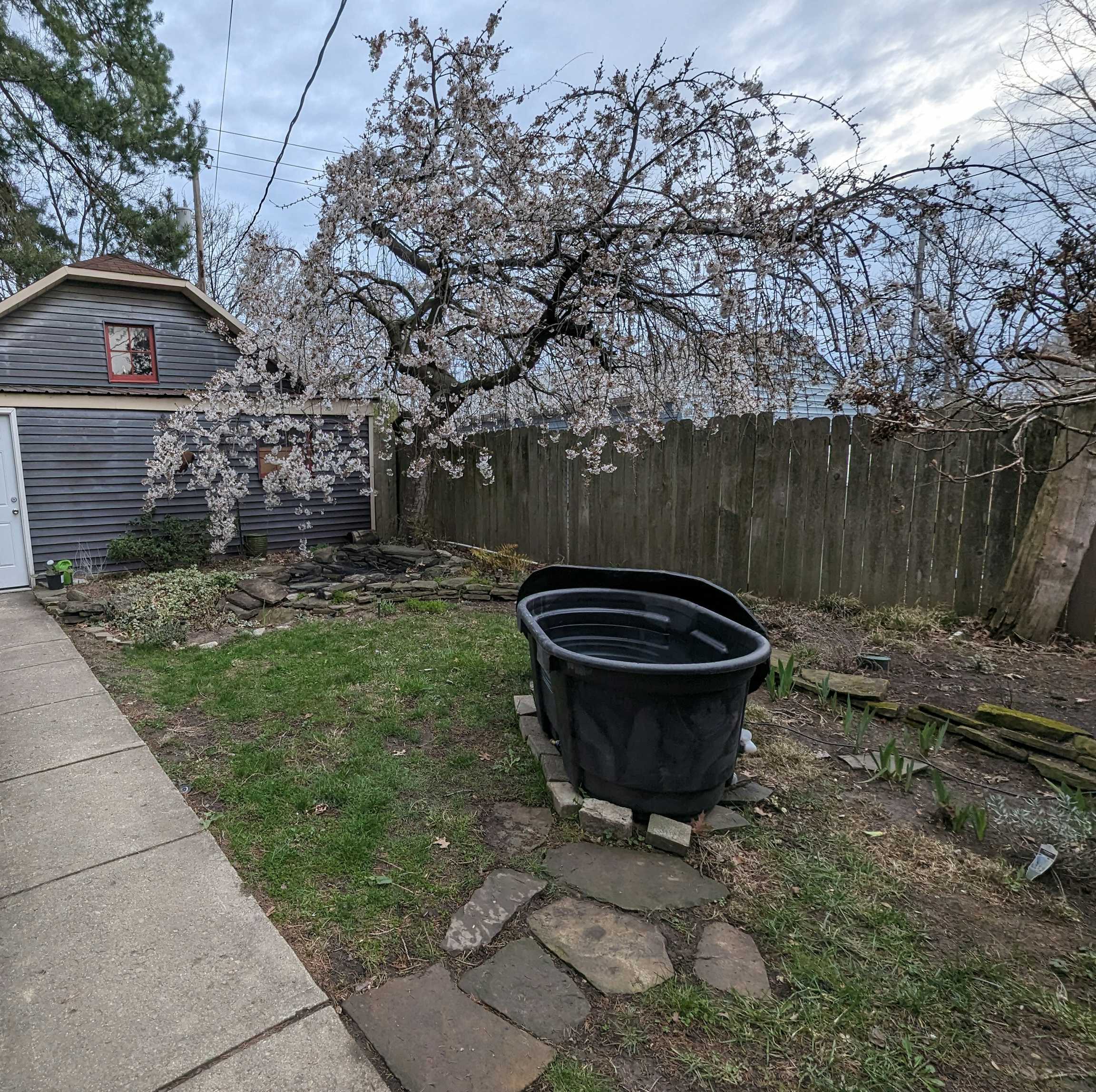 Listing photo-4
