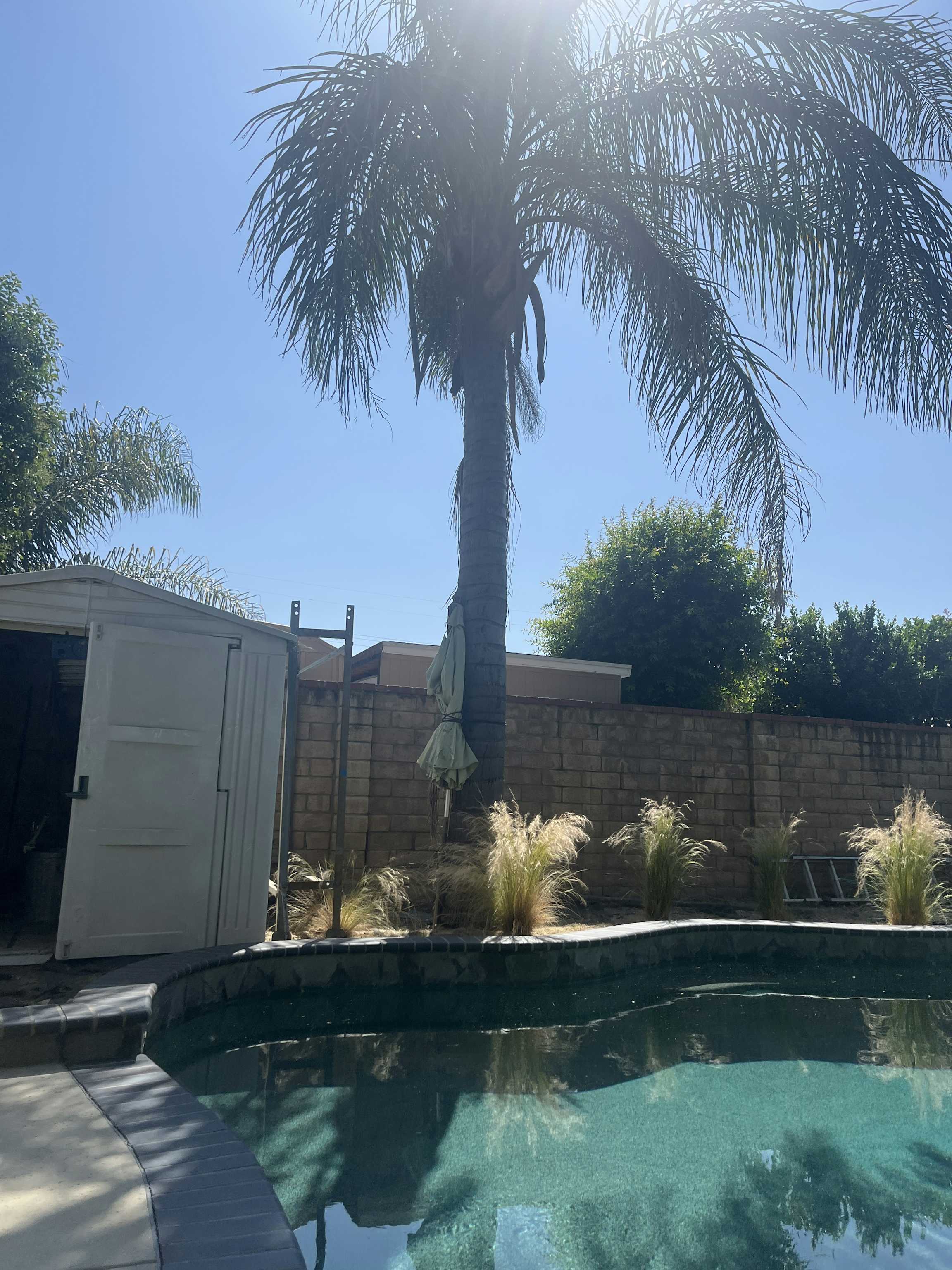 Listing photo-5