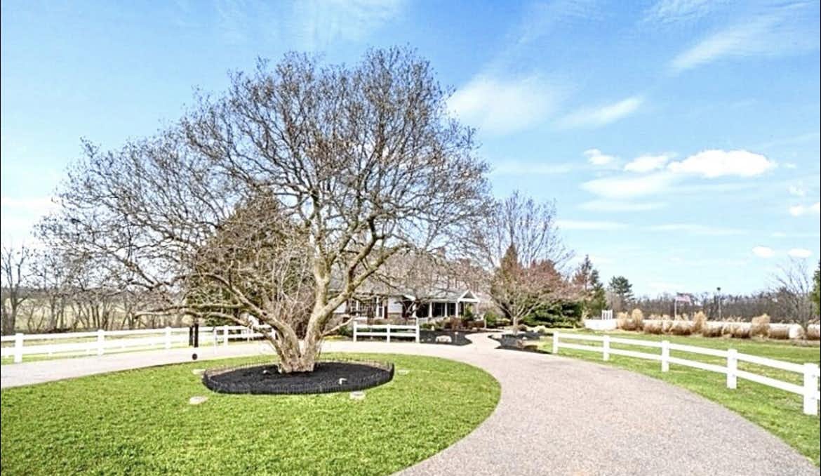 Listing photo-3