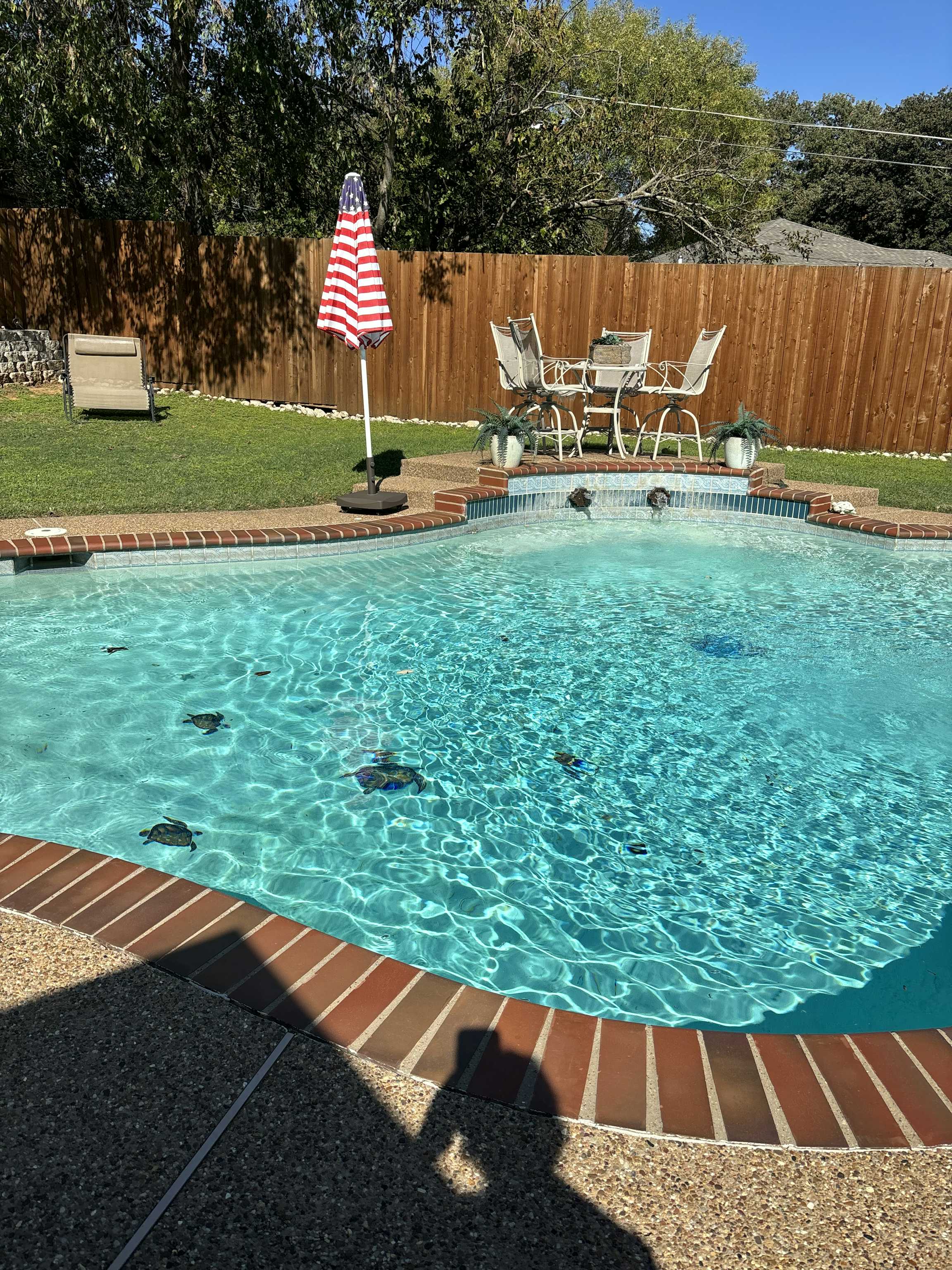 Listing photo-2