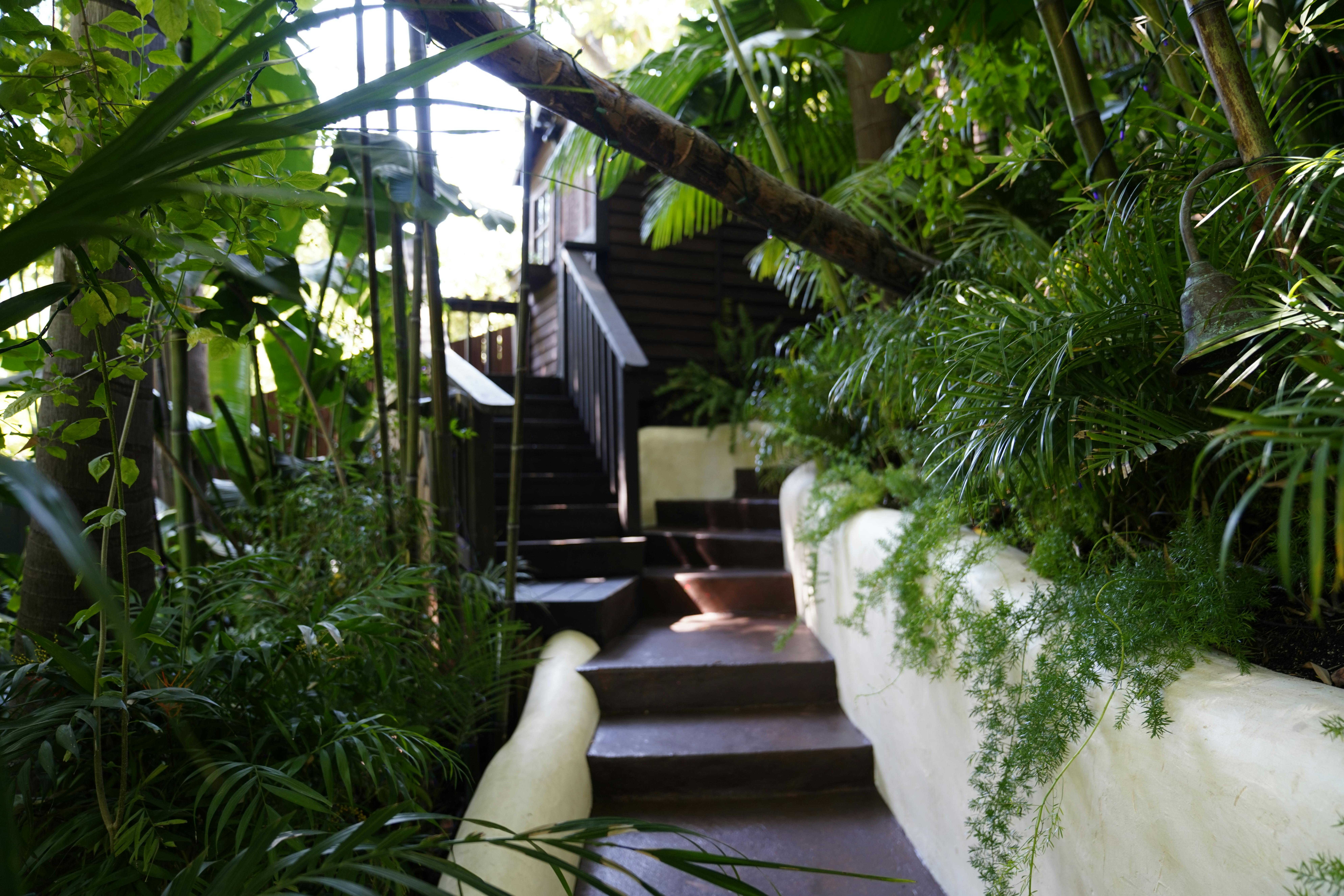 Listing photo-4