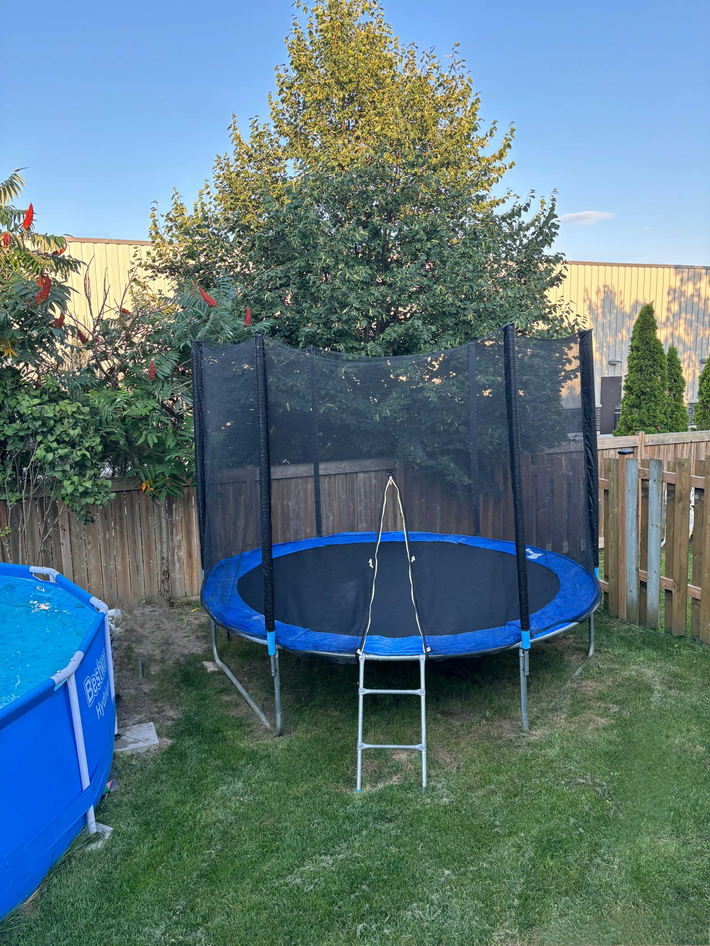 Listing photo-2