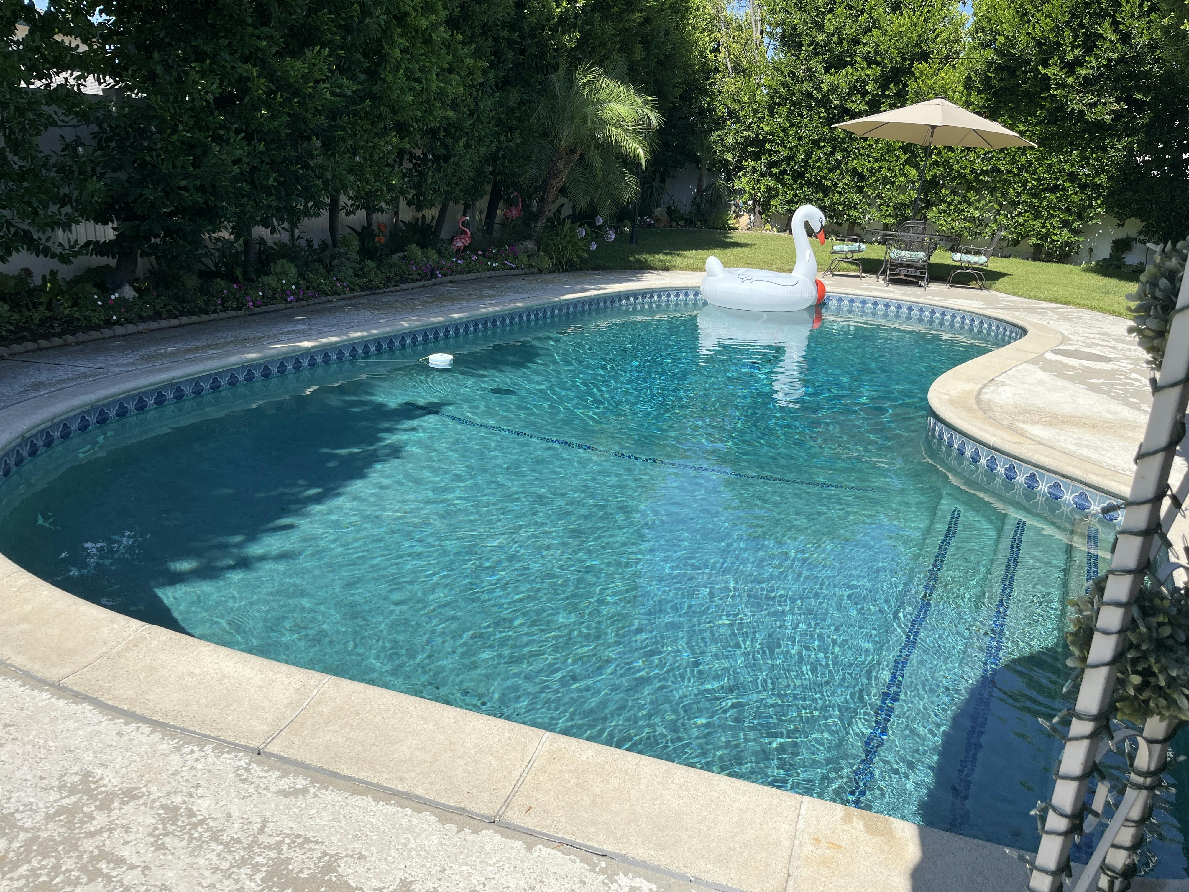 Splash Time - Private Pool in Los Angeles - Swimply