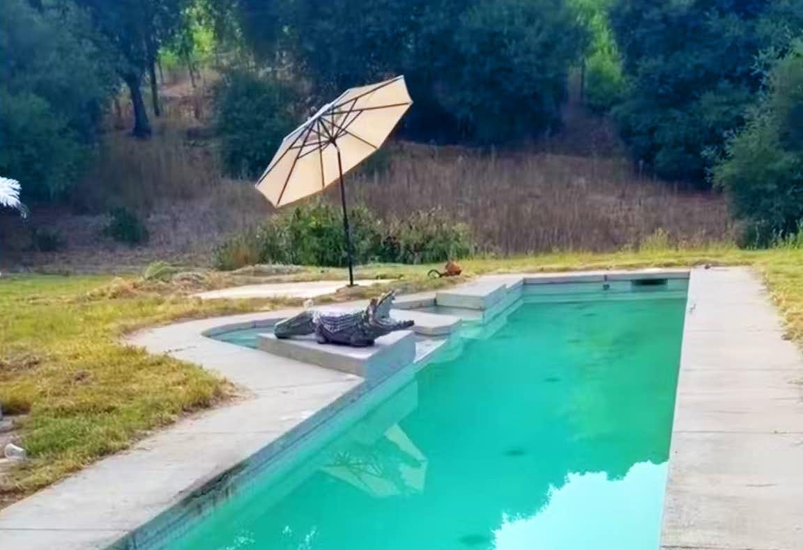 Listing photo-3