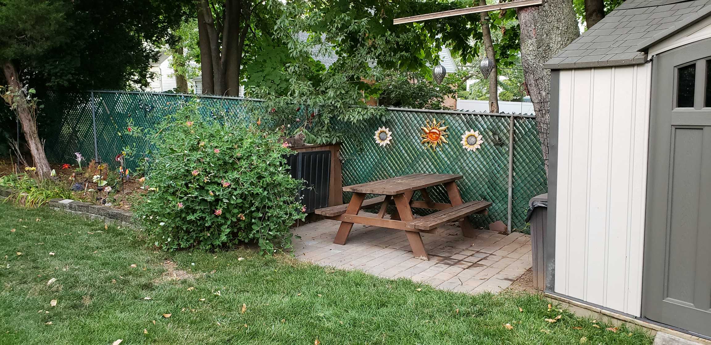 Listing photo-5