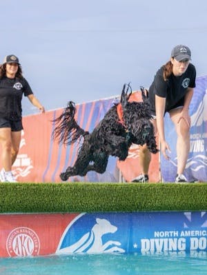 Review from Caroline