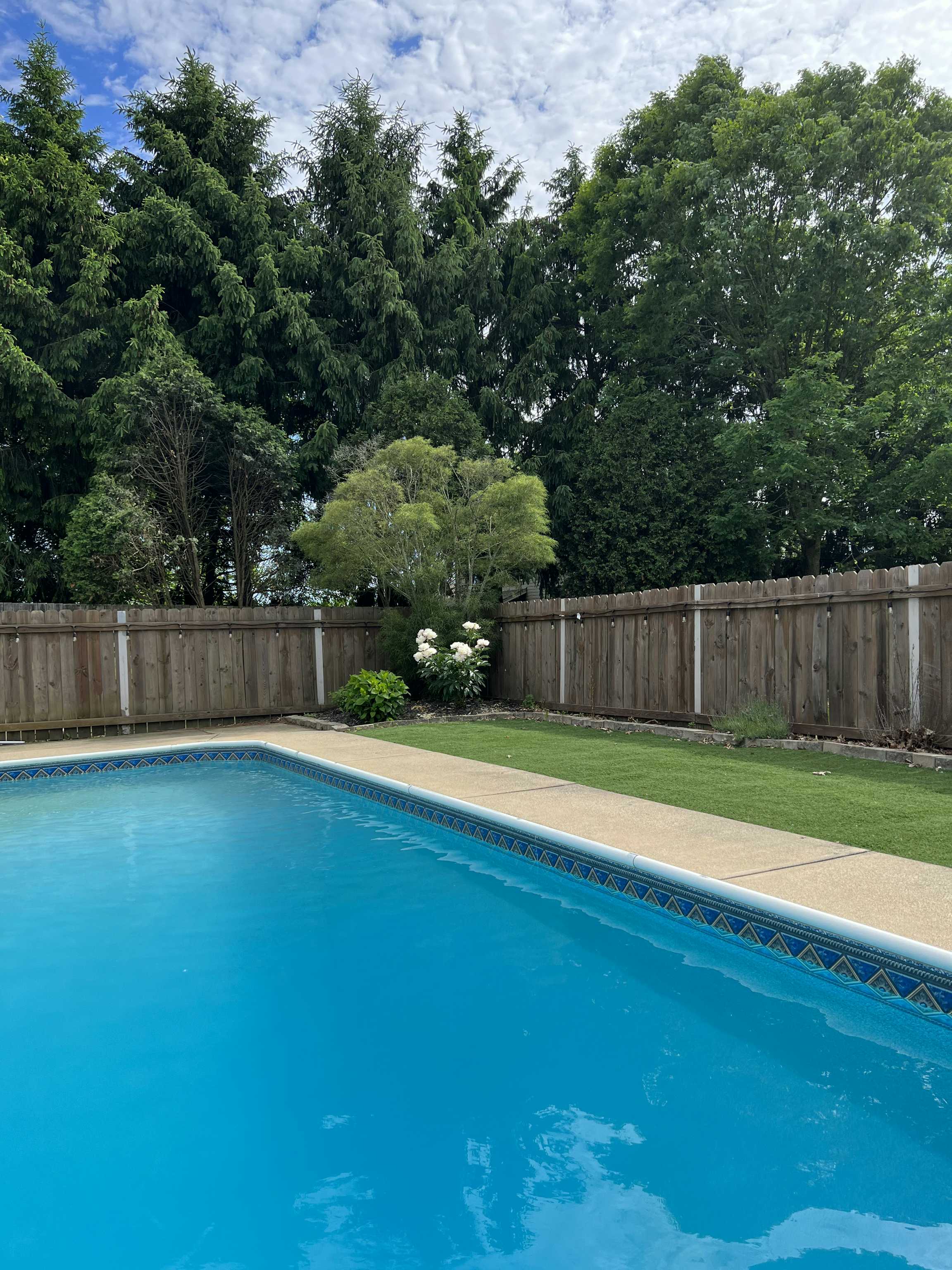Listing photo-5
