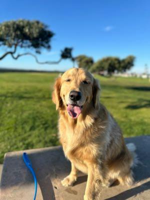 user profile photo