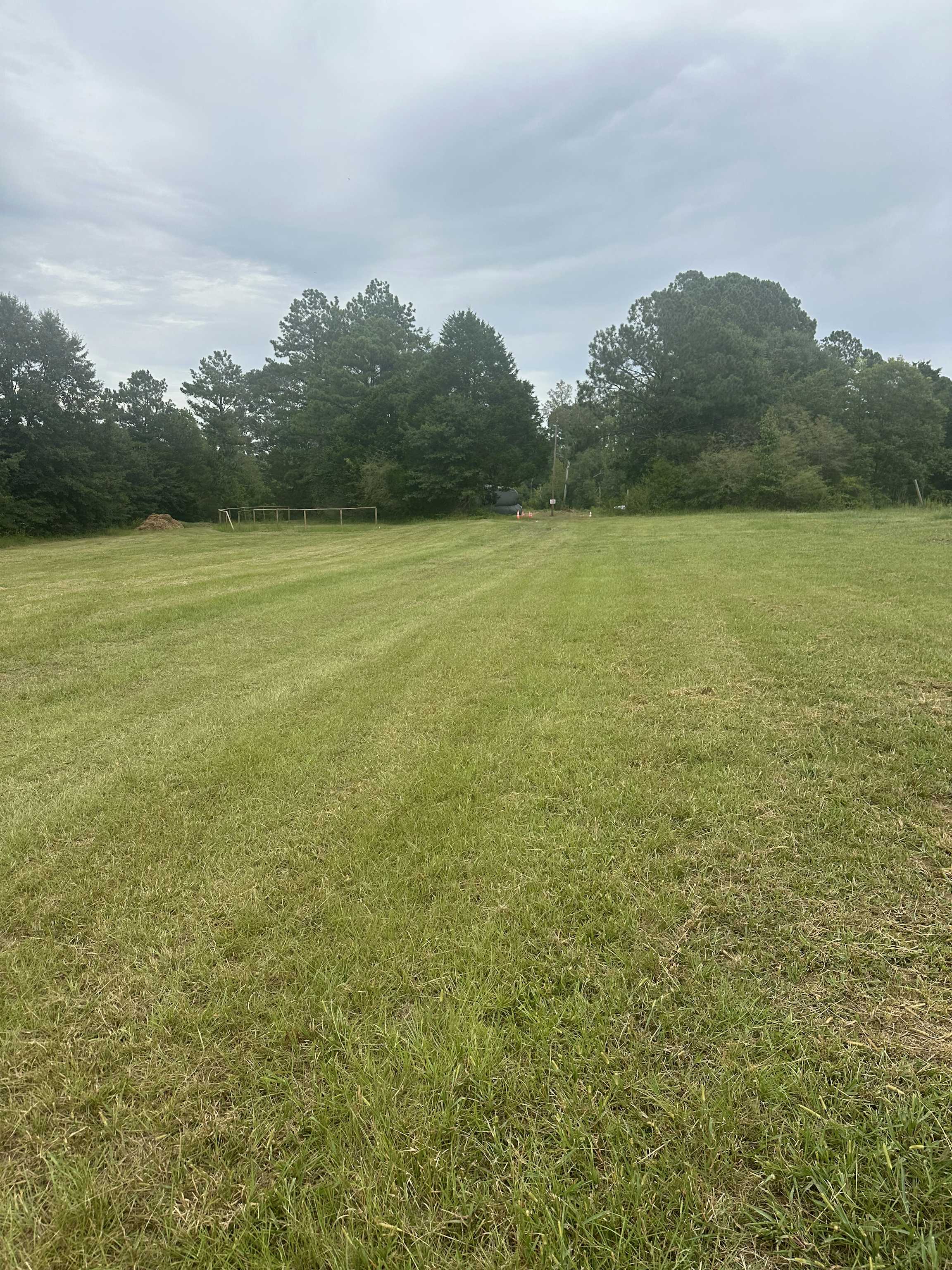Listing photo-5