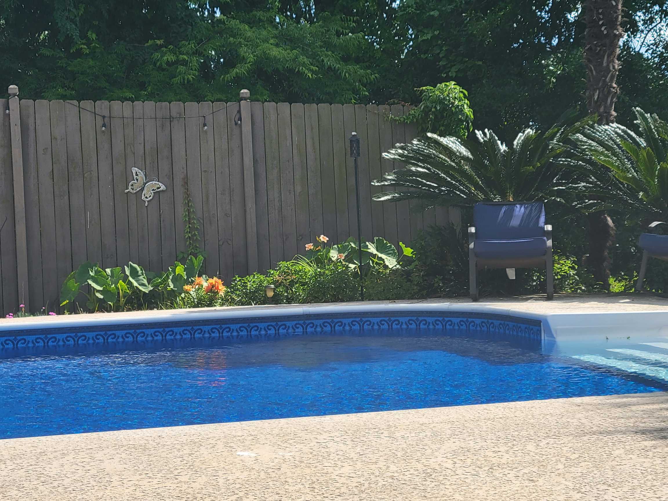 Listing photo-5