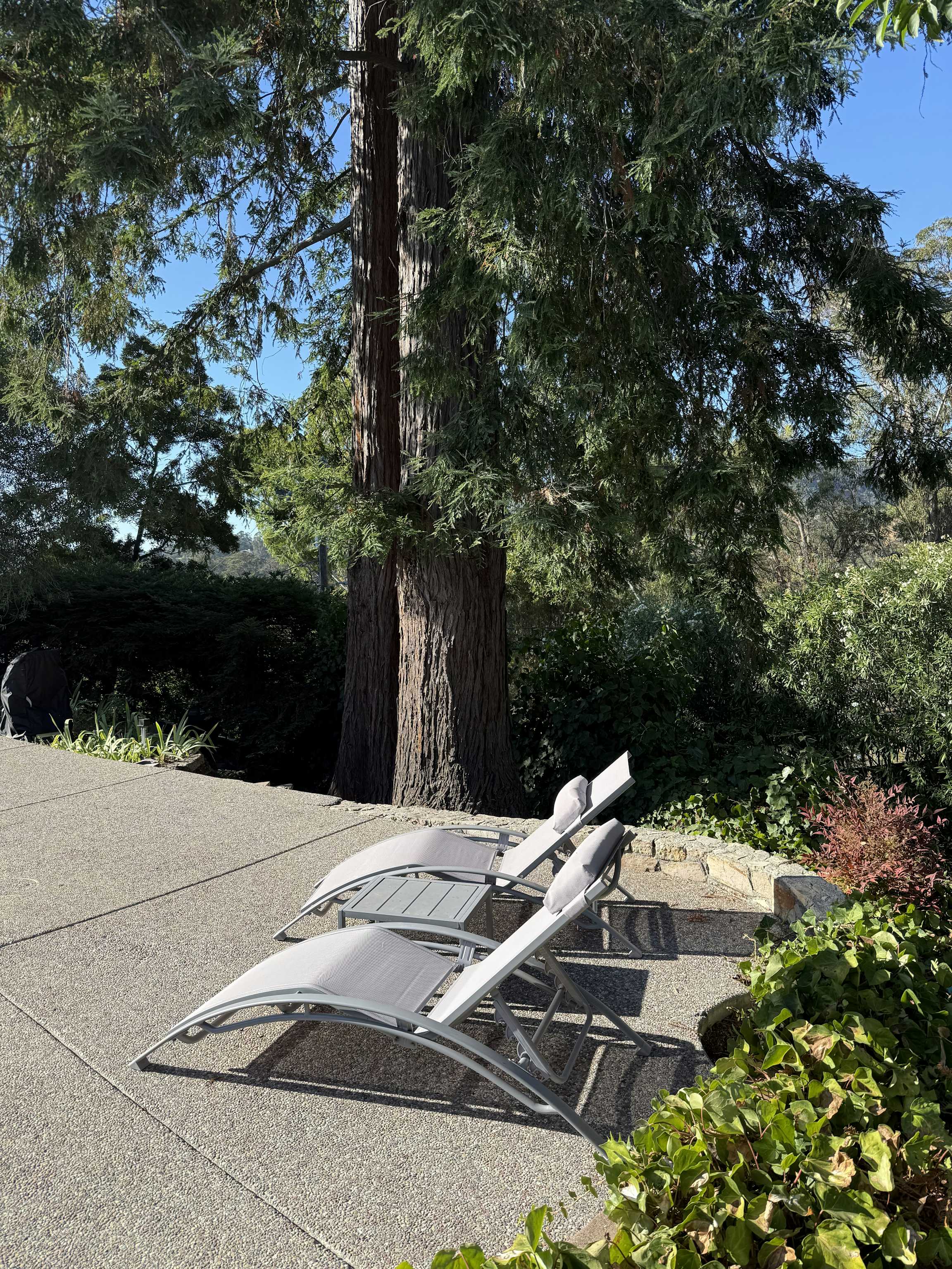 Listing photo-5