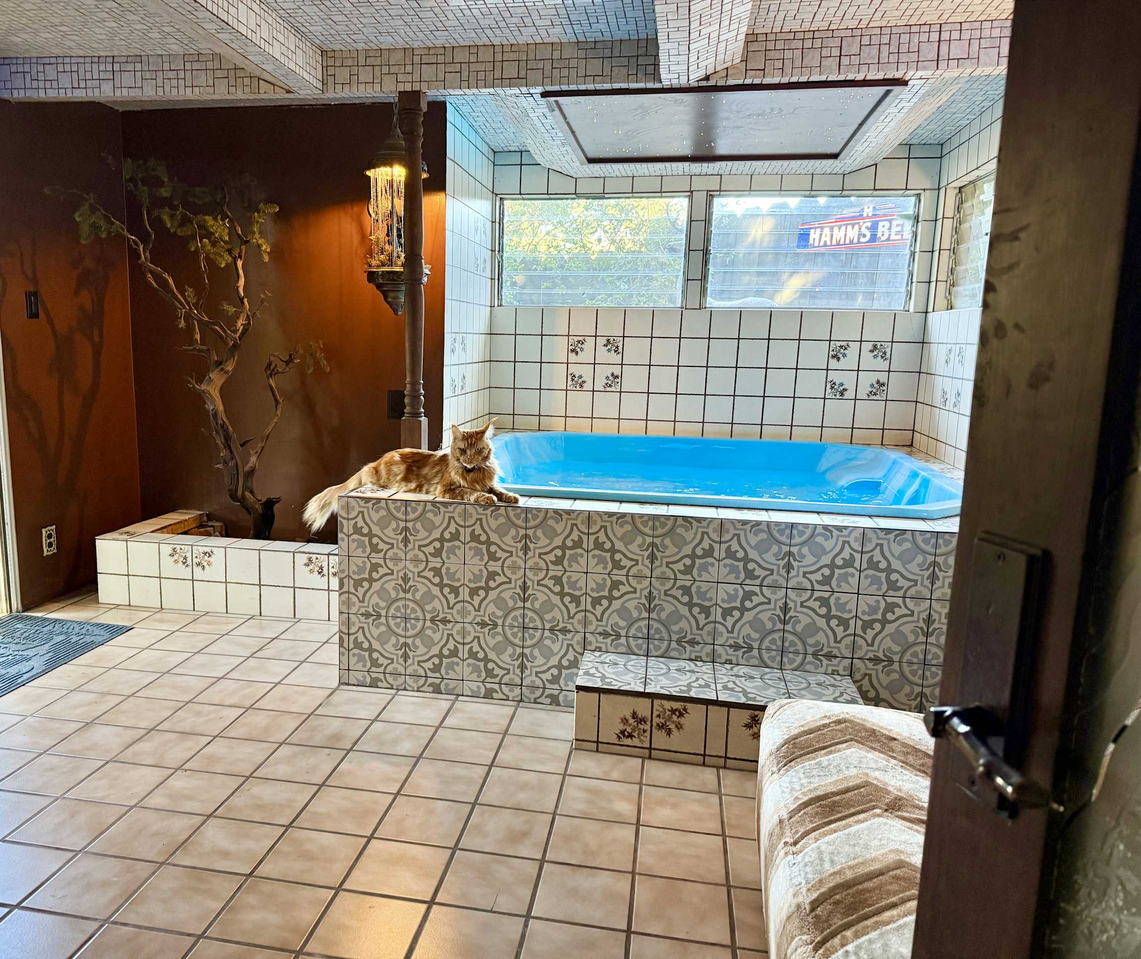Listing photo-5