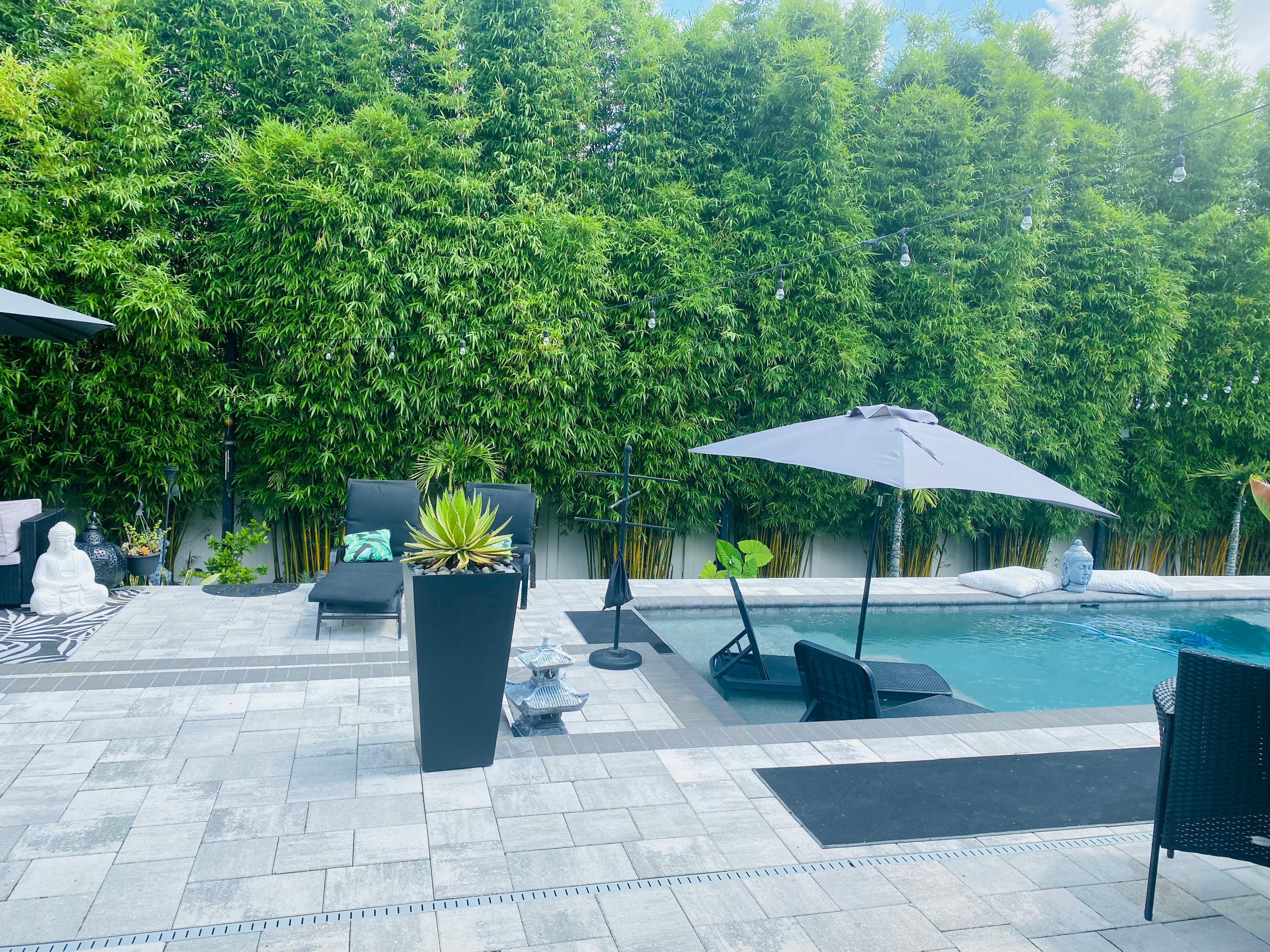 Listing photo-2