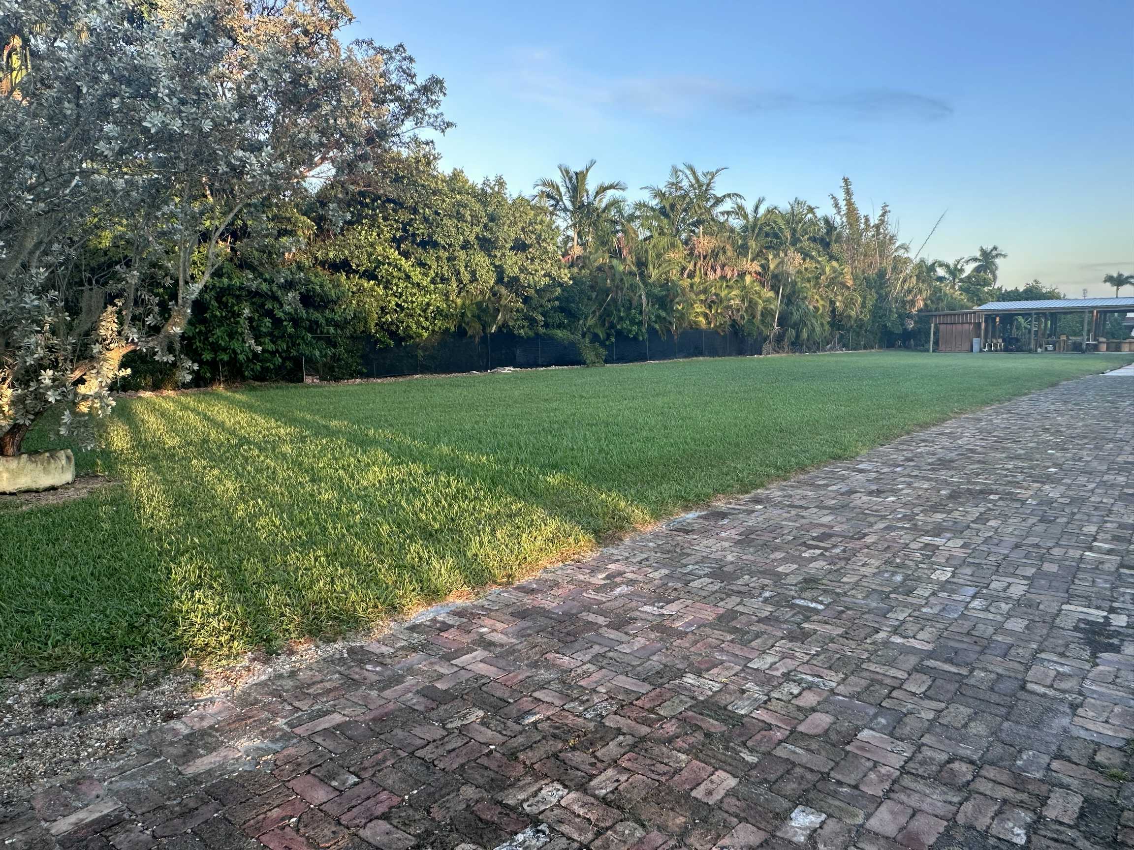 Listing photo-3
