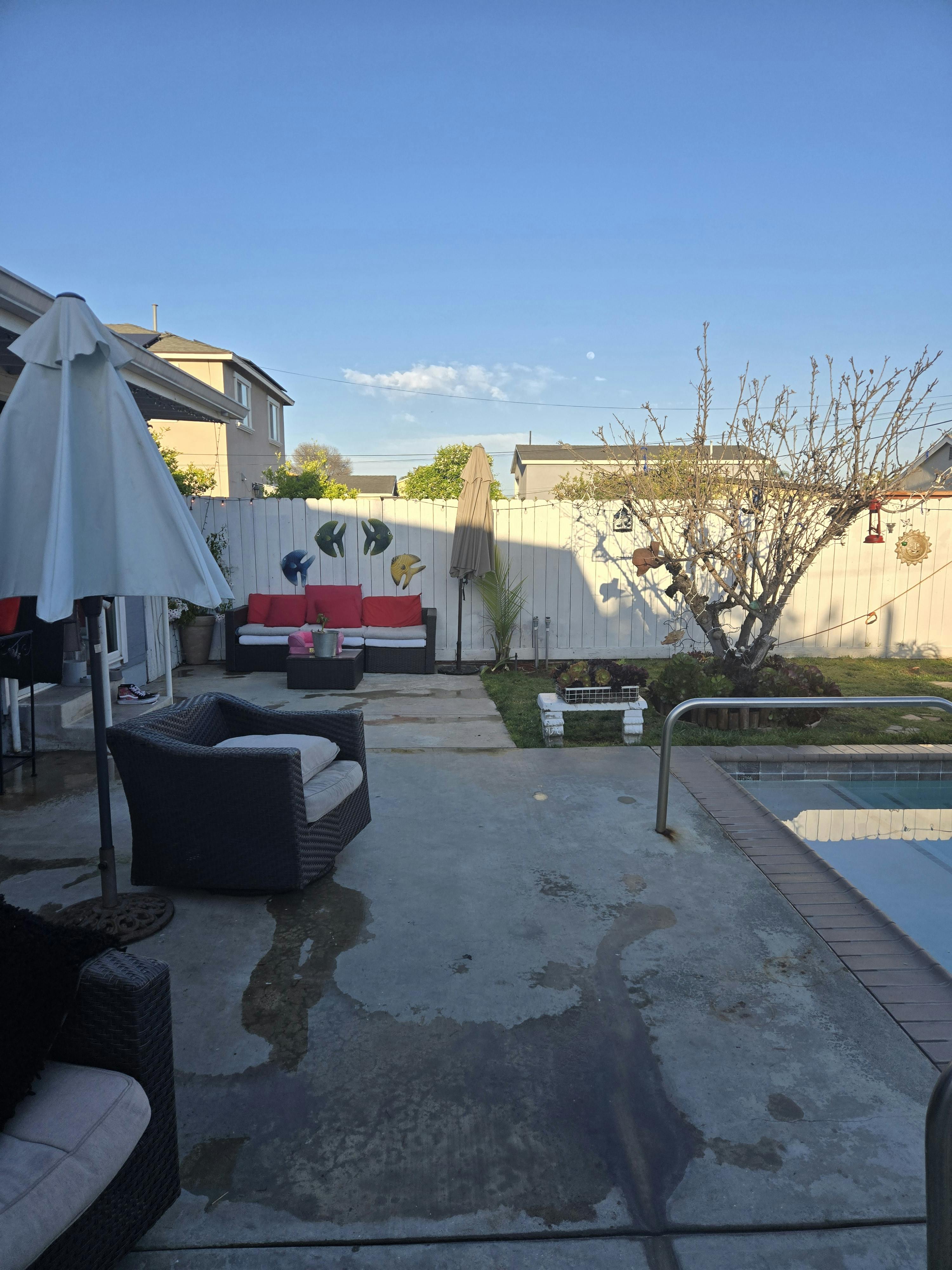 Listing photo-5