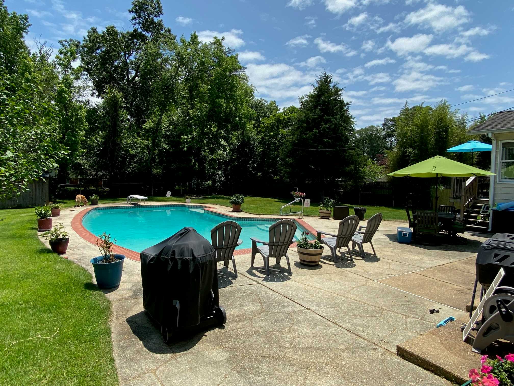 Listing photo-2