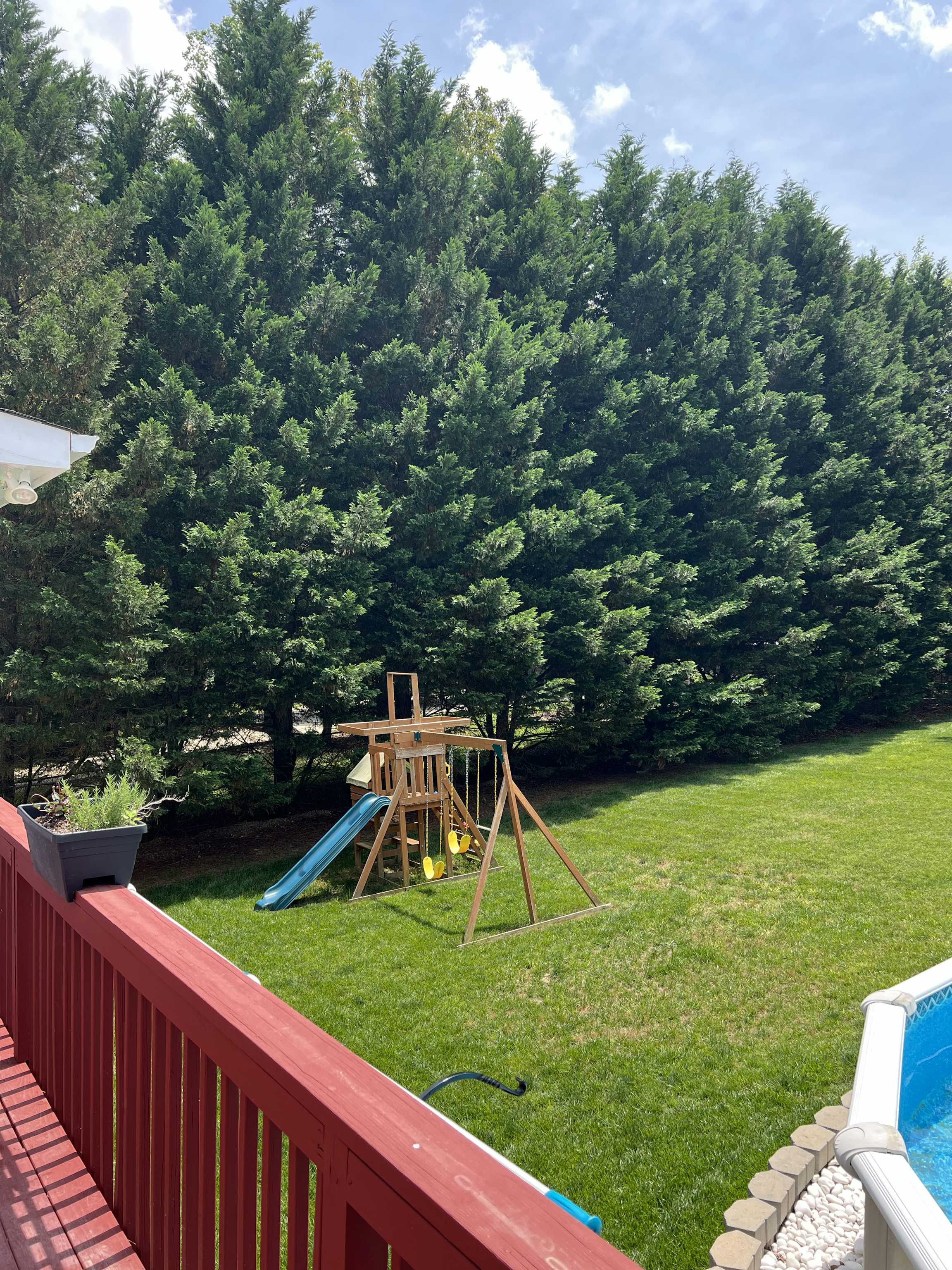 Listing photo-5