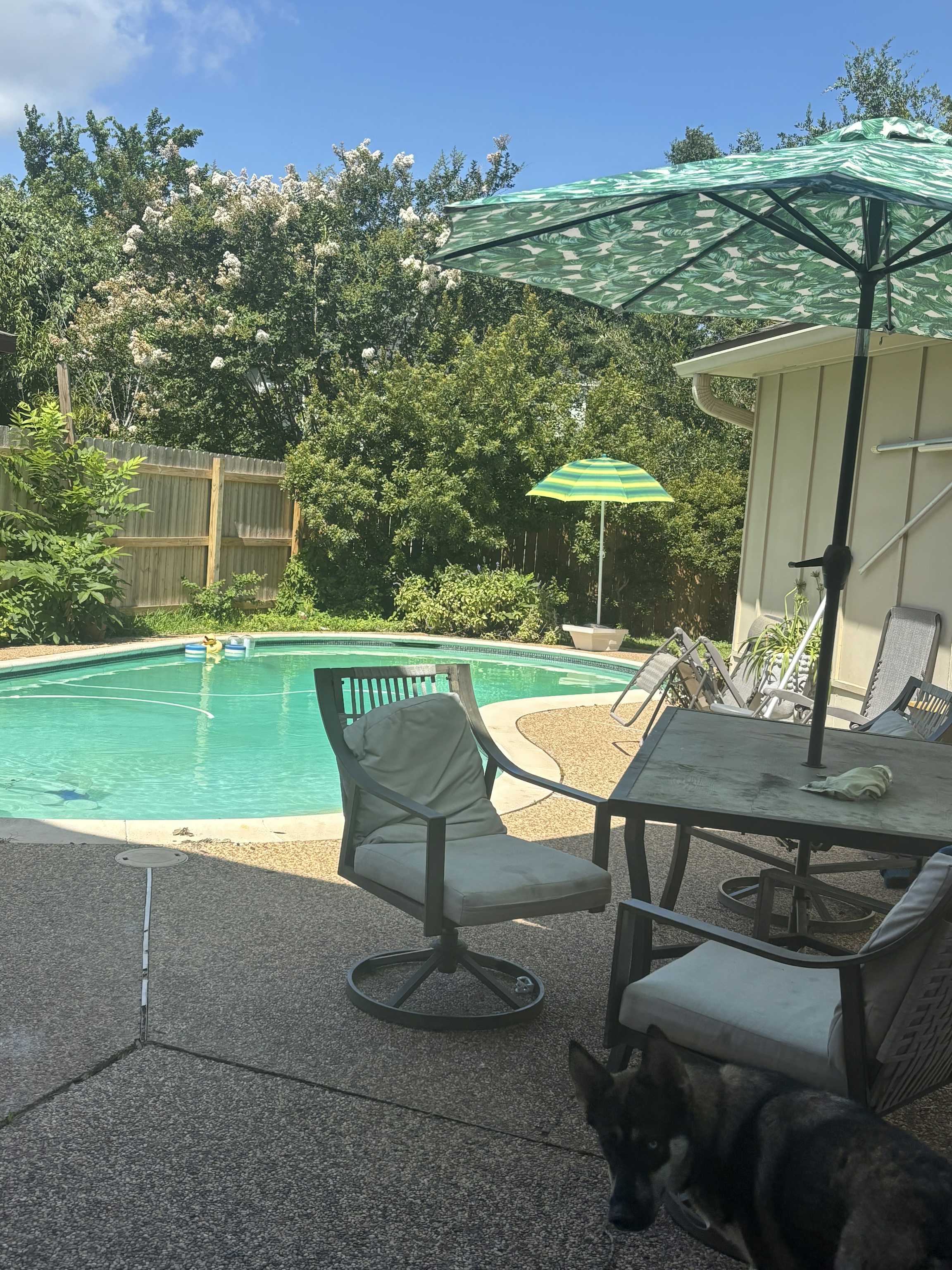 Listing photo-5