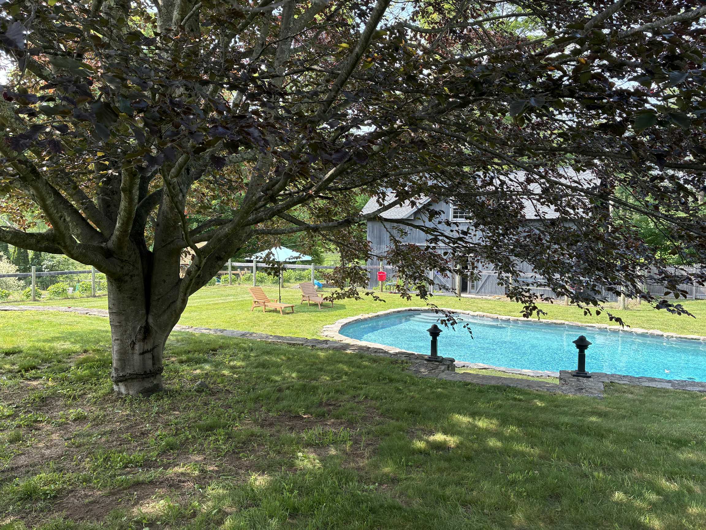 Listing photo-3
