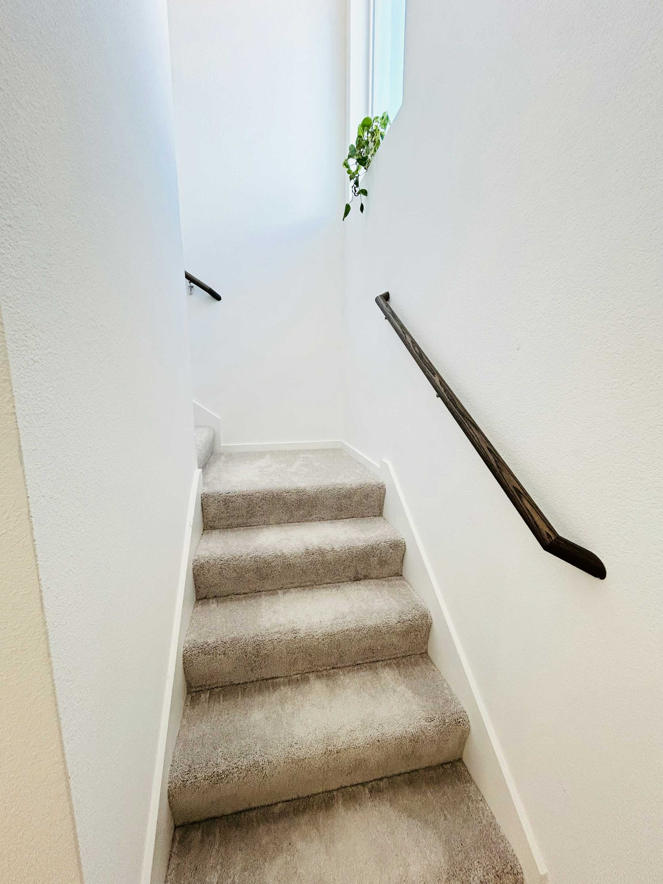 Listing photo-5