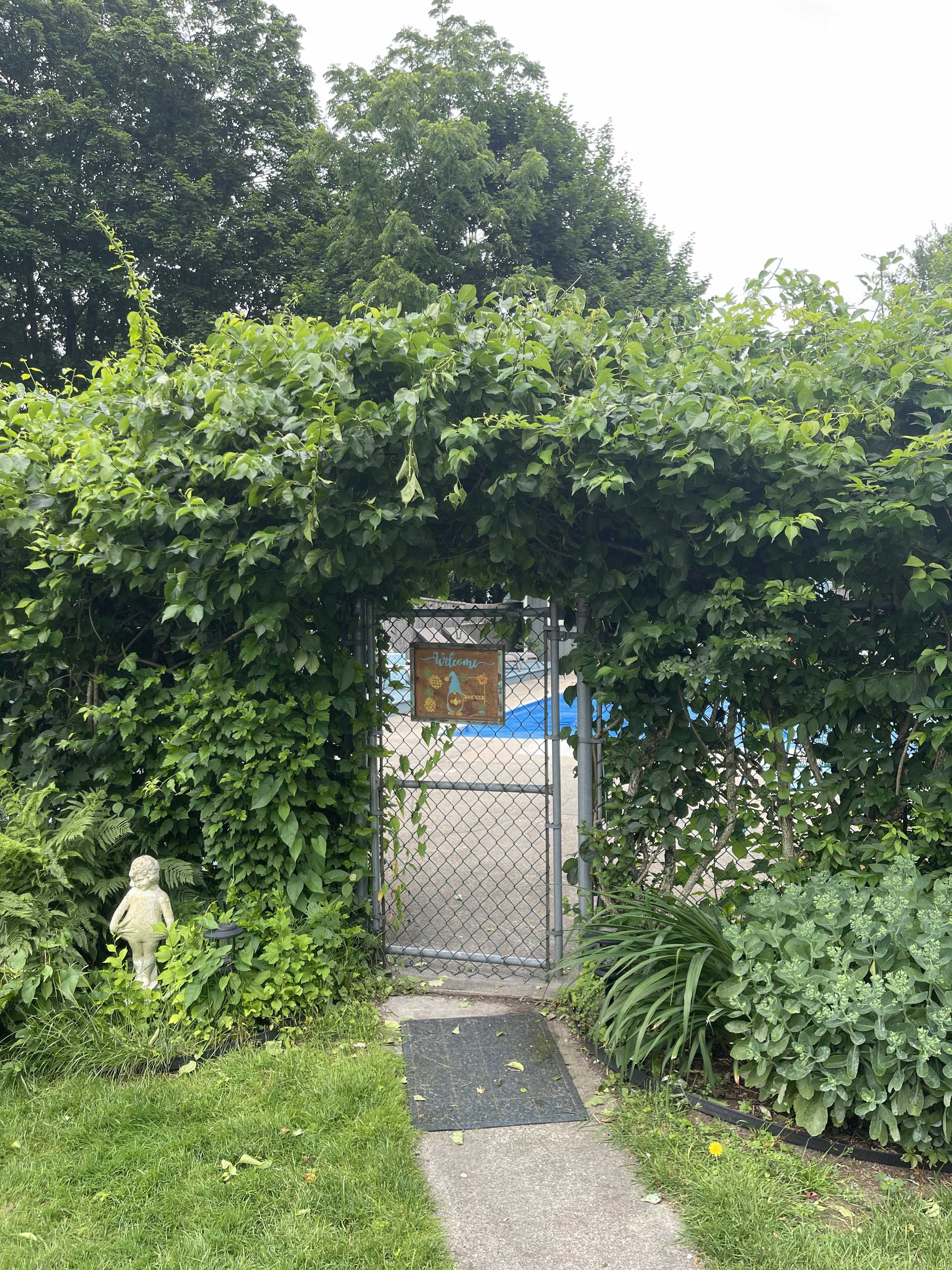 Listing photo-2