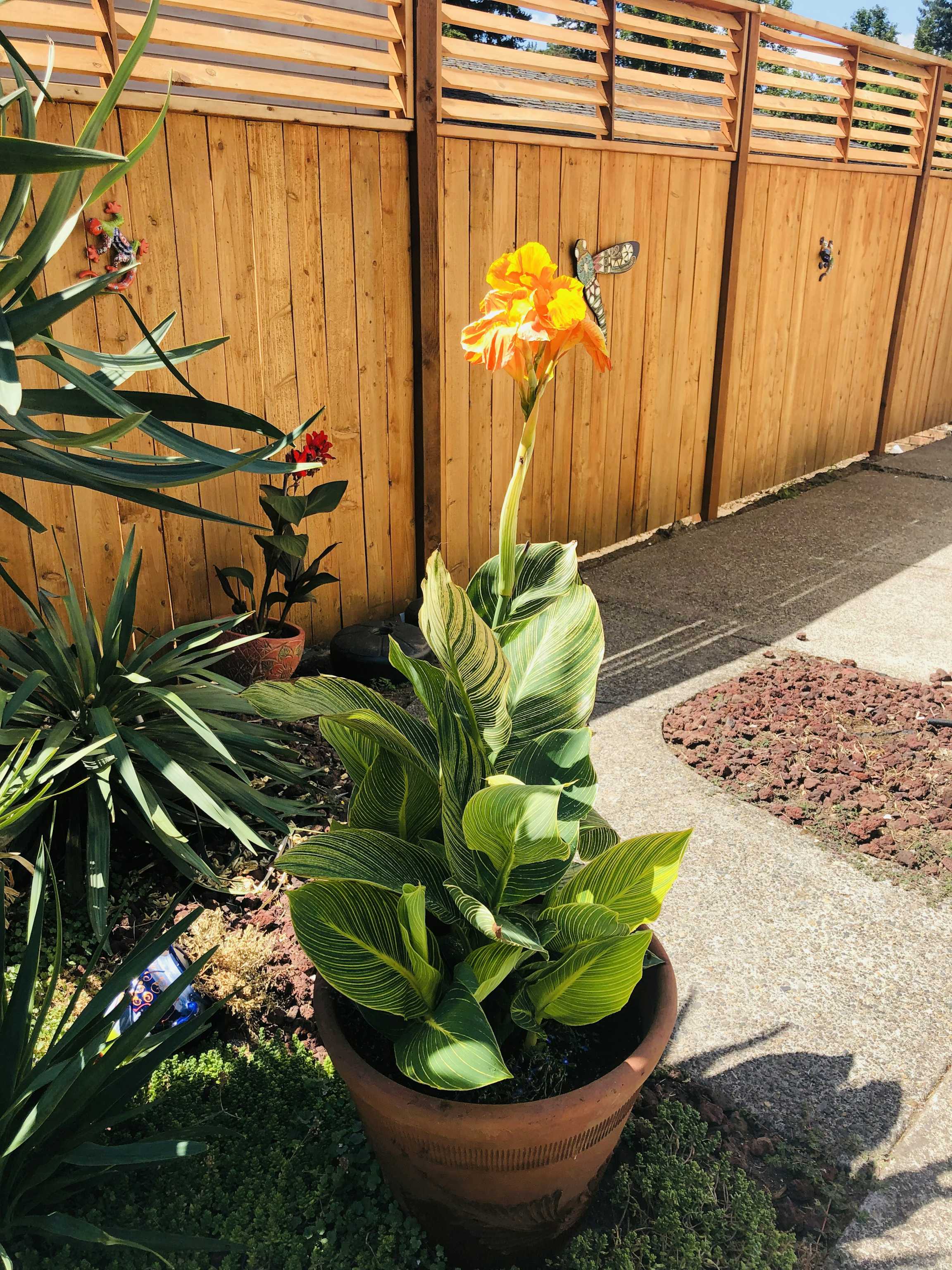 Listing photo-5