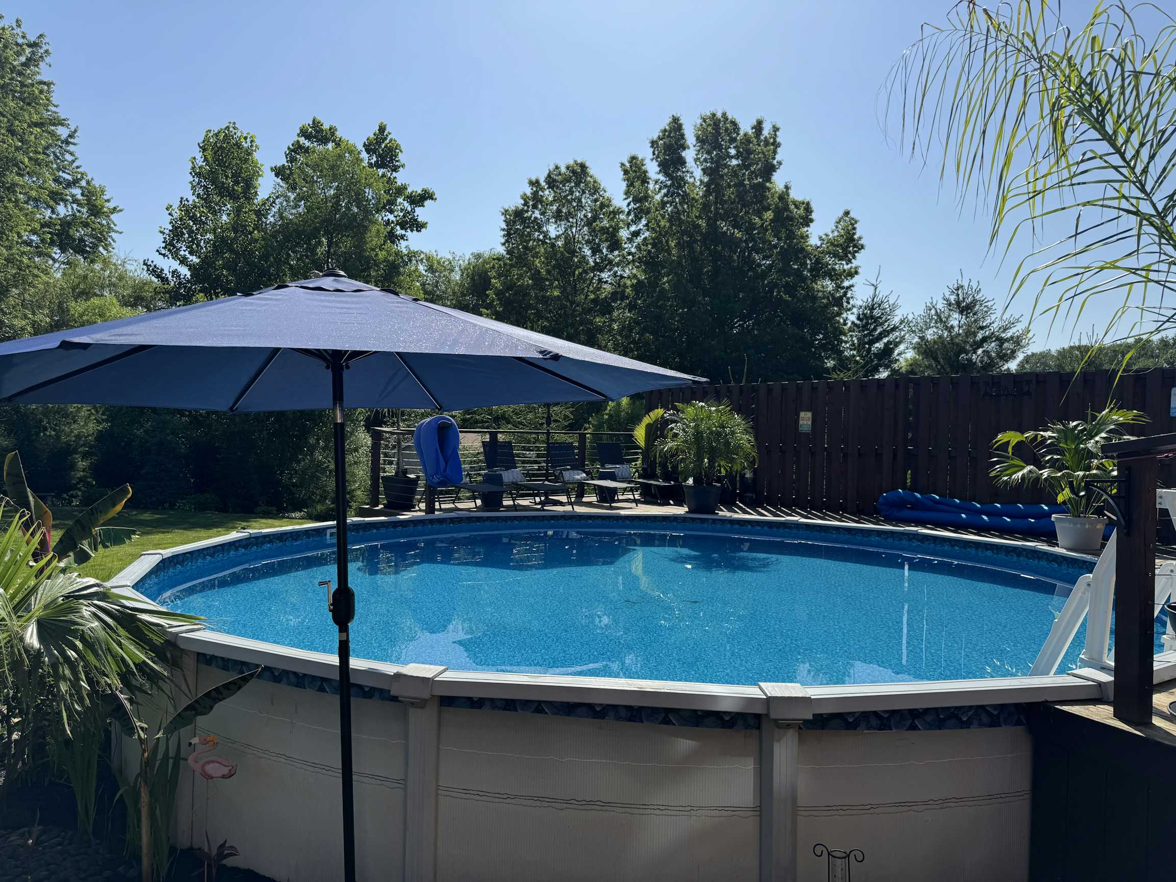 Listing photo-5