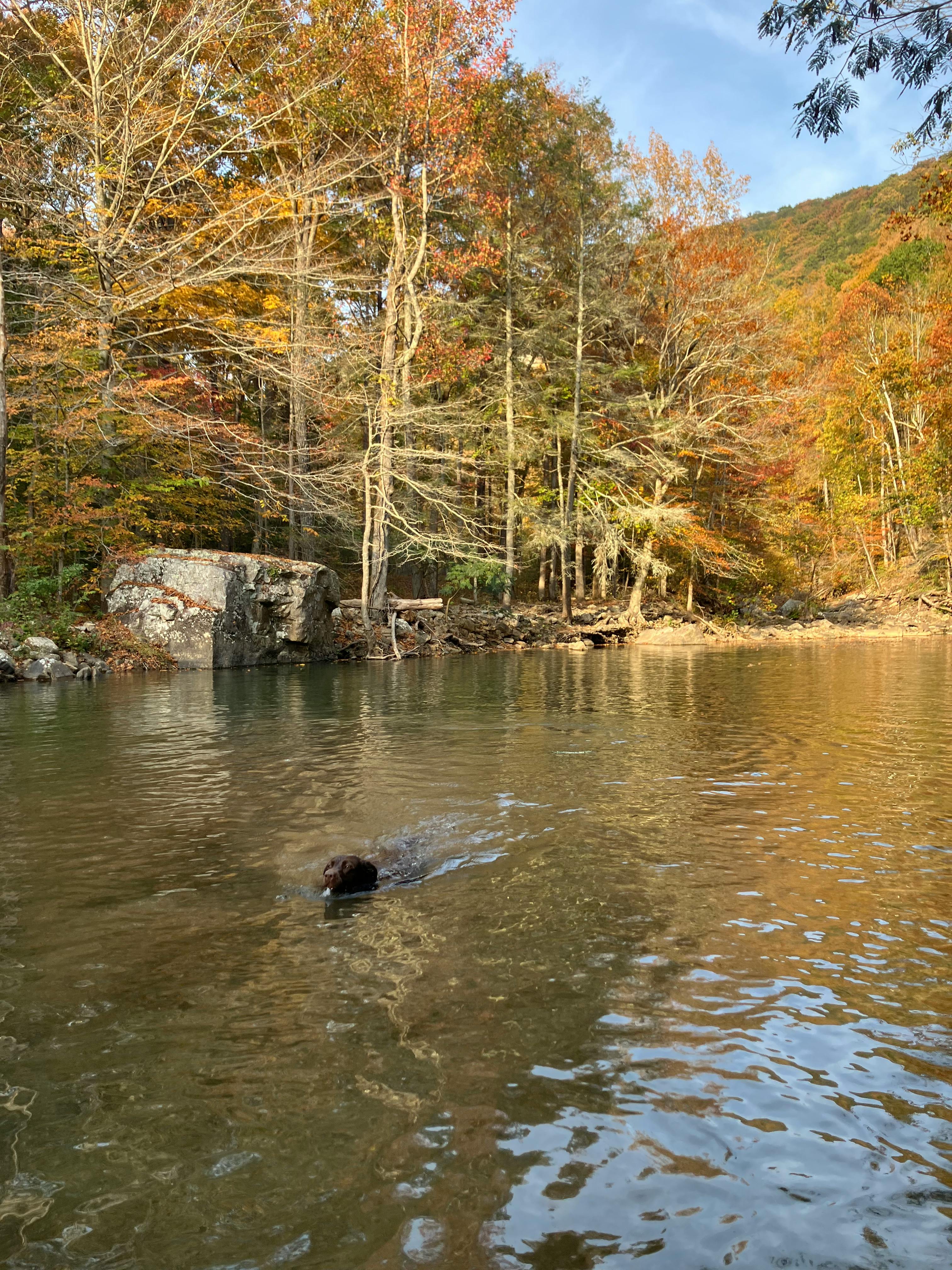 Creek Oasis, crystal clear swimming holes with baby waterfall rapids ...