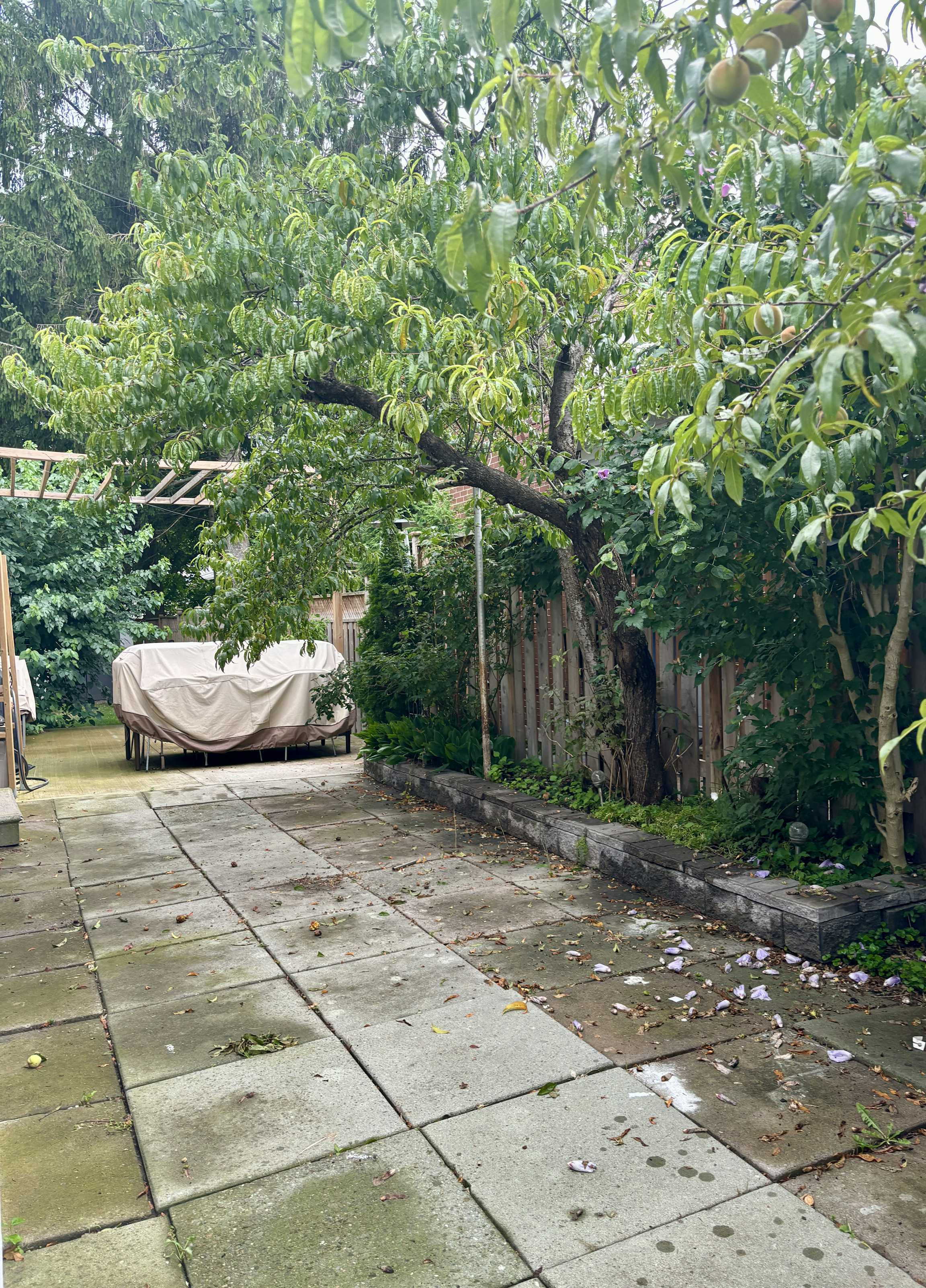 Listing photo-4