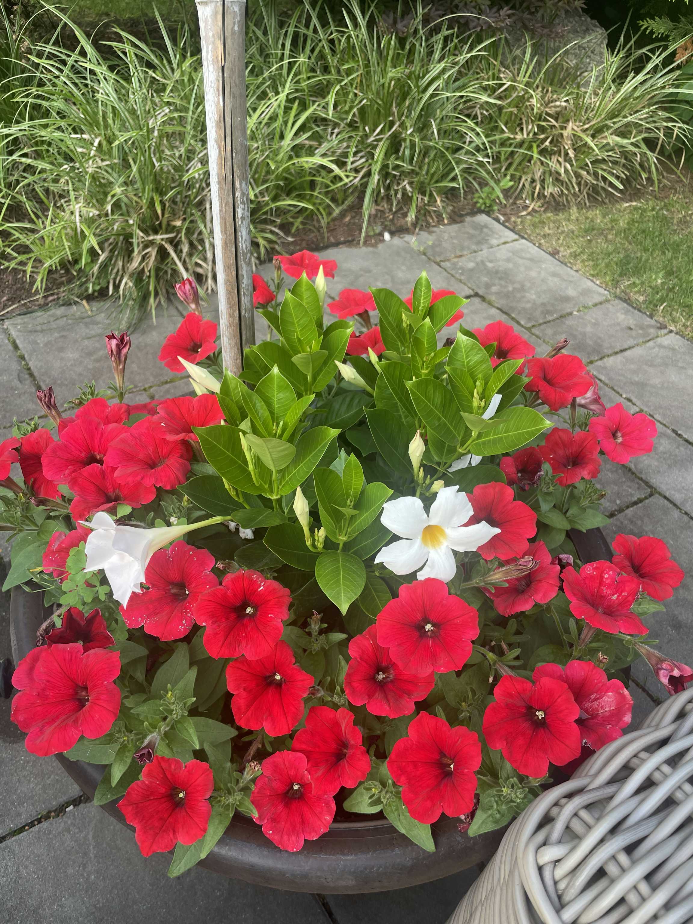 Listing photo-2