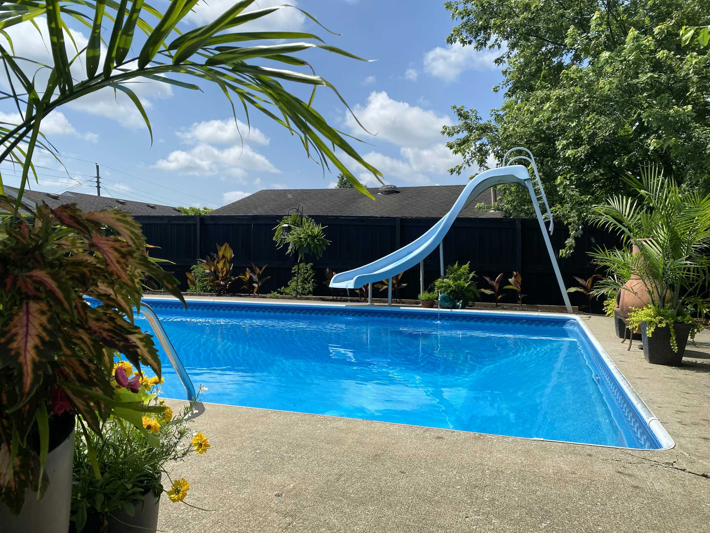 Listing photo-5