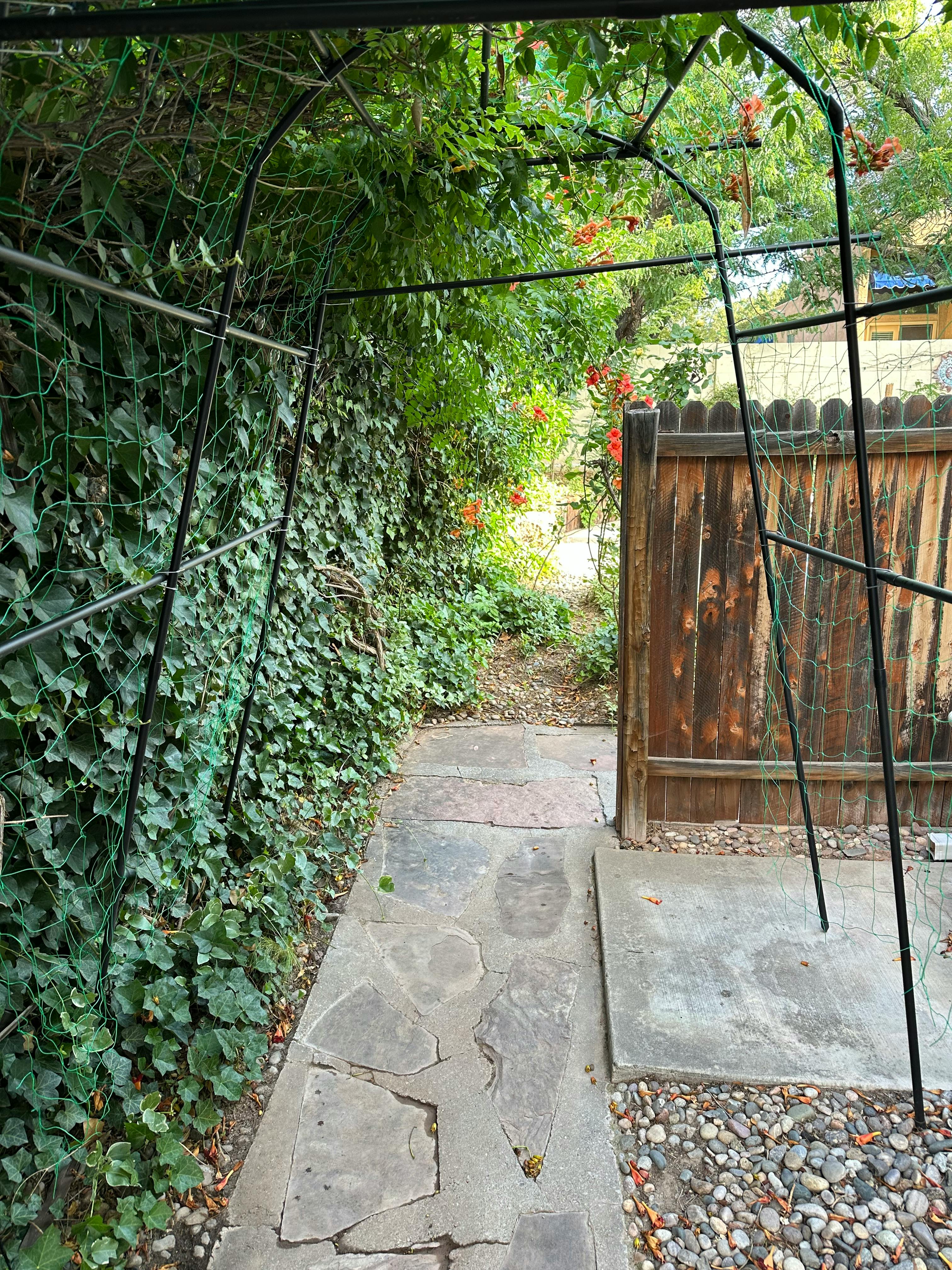 Listing photo-4