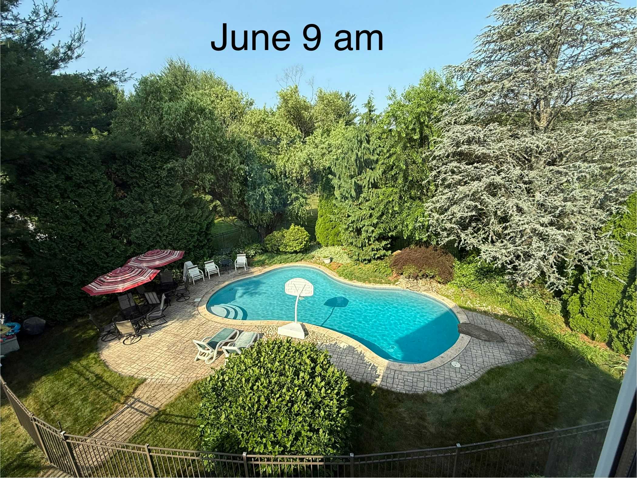 Listing photo-4