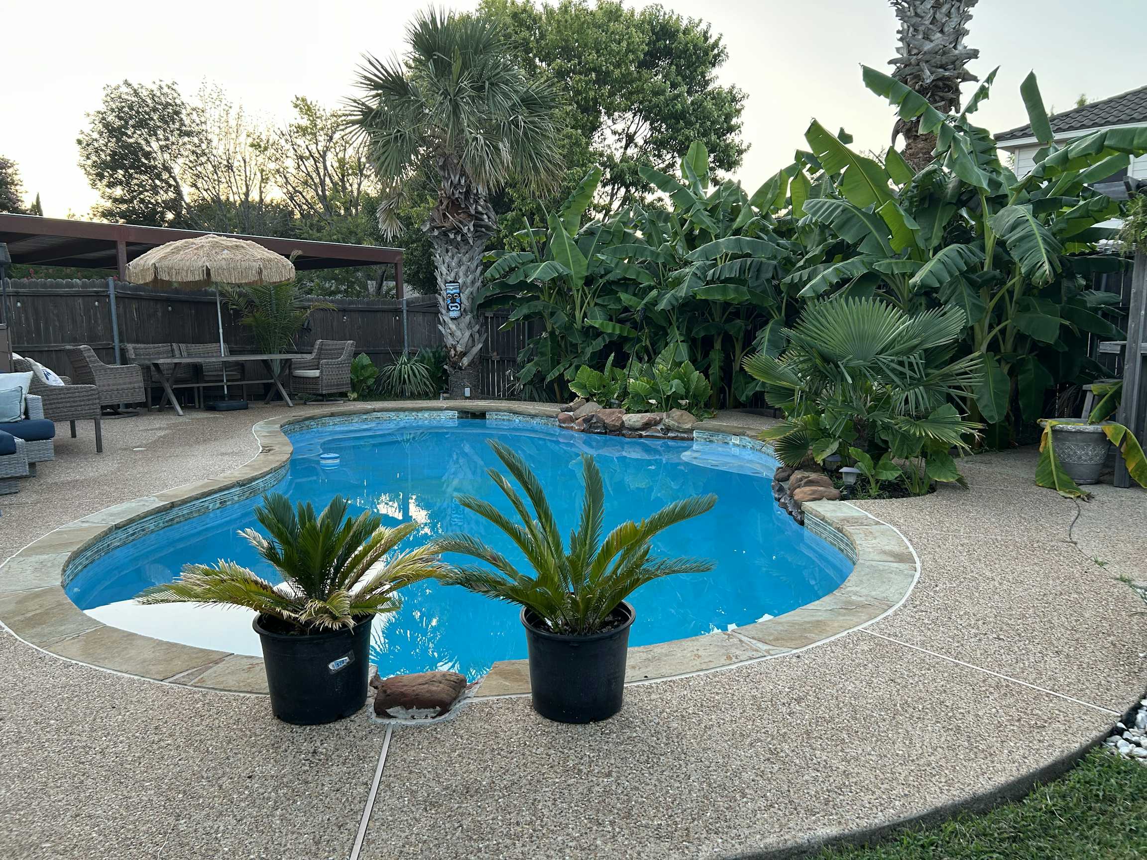 Listing photo-4