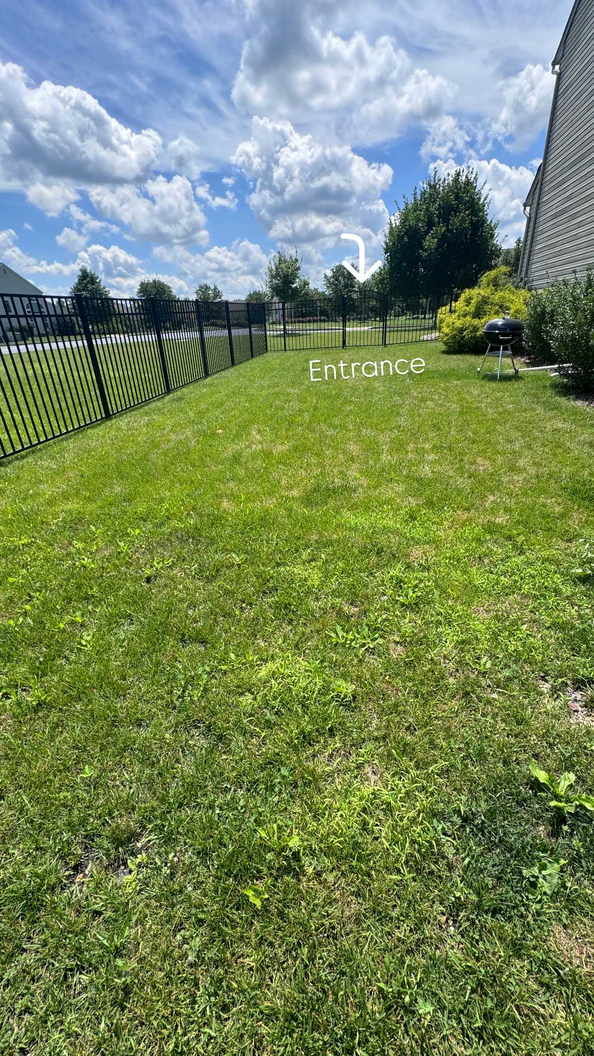 Listing photo-2